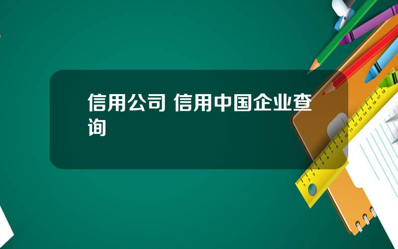 信用公司 信用中国企业查询